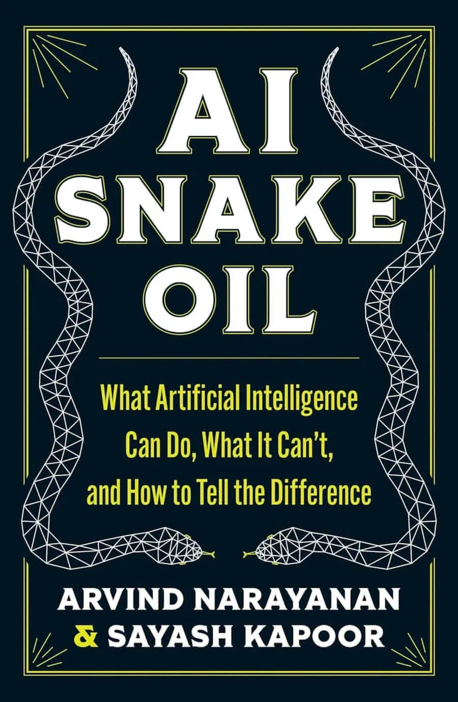 AI Snake Oil - book about separating AI hype from reality