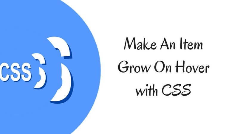 How To Make An Item Grow On Hover with CSS