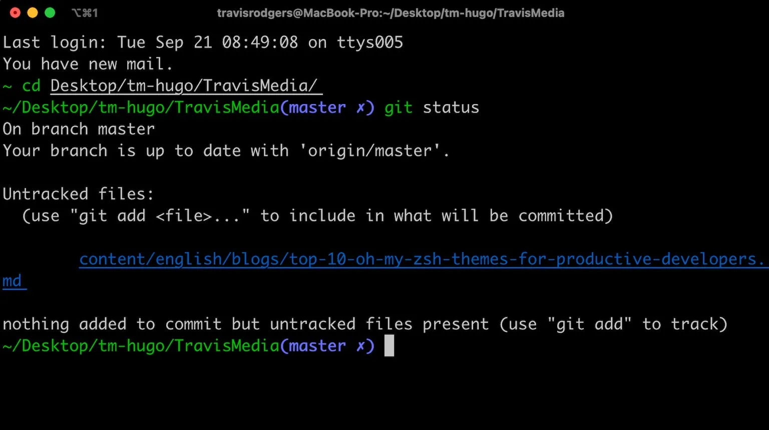 oh my zsh simple theme