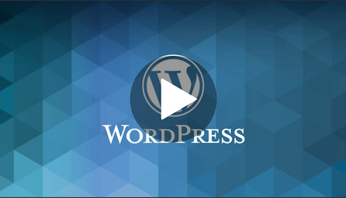 best-udemy-courses-for-web-developers-complete-wordpress-website-business-course